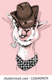 Funny poster. Portrait of Llama in a cowboy Hat, checkered scarf and with a chamomile flower. #No drama - lettering quote. Humor card, t-shirt composition, hand drawn style print. Vector illustration.