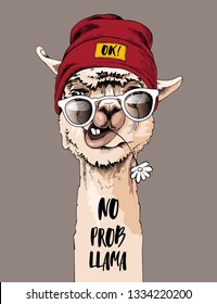 Funny poster. Portrait of Llama in a hipster cap, sunglasses and with a chamomile flower. No prob llama - lettering quote. Humor card, t-shirt composition, hand drawn style print. Vector illustration.