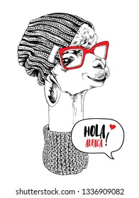 Funny poster. Portrait of Llama in a hipster cap, knitted scarf and in a red glasses. Hola alpaca! - lettering quote. Humor card, t-shirt composition, hand drawn style print. Vector illustration.