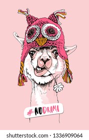 Funny poster. Portrait of Llama in a pink knitted owl Hat and with a chamomile flower. #No drama - lettering quote. Humor card, t-shirt composition, hand drawn style print. Vector illustration.