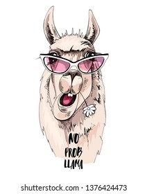 Funny poster. Portrait of Llama in a pink sunglasses and with a chamomile flower. No probllama - lettering quote. Humor card, t-shirt composition, hand drawn style print. Vector illustration.