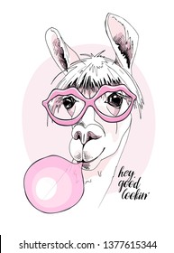 Funny poster. Portrait of Llama in a pink Lips Sunglasses and with a bubble gum. Hey good lookin - lettering quote. Humor card, t-shirt composition, hand drawn style print. Vector illustration.