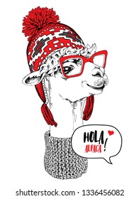 Funny poster. Portrait of Llama in a red Chullo Hat, knitted scarf and in a glasses. Hola alpaca! - lettering quote. Humor card, t-shirt composition, hand drawn style print. Vector illustration.