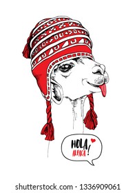 Funny poster. Portrait of Llama in a red knitted Chullo Hat. Hola alpaca! - lettering quote. Humor card, t-shirt composition, hand drawn style print. Vector illustration.