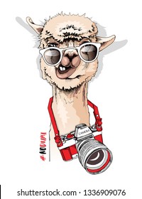 Funny poster. Portrait of Llama in a sunglasses and with a camera. #No drama - lettering quote. Humor card, t-shirt composition, hand drawn style print. Vector illustration.