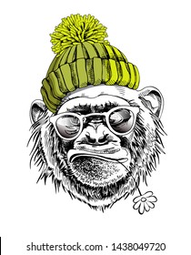 Funny poster. Portrait of Monkey in a green hipster knitted hat, in a sunglasses and with a chamomile flower. Humor card, t-shirt composition, hand drawn style print. Vector illustration.