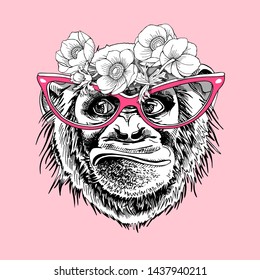 Funny poster. Portrait of Monkey in a pink glasses and with a anemone flowers. Humor card, t-shirt composition, hand drawn style print. Vector illustration.