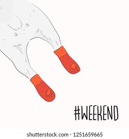 Funny pug back with weekend quote illustration. Cool cartoon character decoration. Saturday and Sunday typographic. Cute Dog sleeping in winter socks