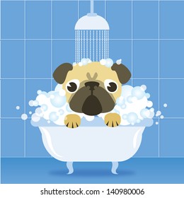 Funny pug in bathroom