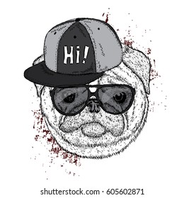 Funny pug in a cap and glasses. Vector illustration for a postcard or a poster. Cute puppy. Pedigree dog.
