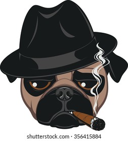 Funny pug with cigar