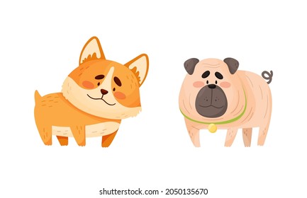 Funny Pug and Corgi Dog with Collar as Four-legged Friend and Domestic Pet Vector Set