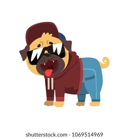 Funny pug dog character dressed as hiphop dancer vector Illustration on a white background