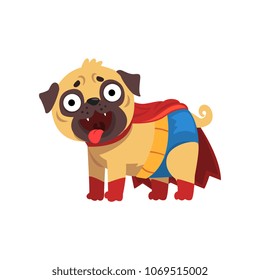 Funny pug dog character in a superhero costume, funny dog in red cape red vector Illustration on a white background