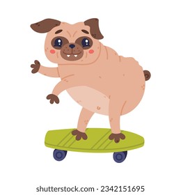 Funny Pug Dog Character with Wrinkly Face Riding Skateboard Vector Illustration