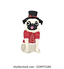Funny pug dog in Christmas clothes on white background