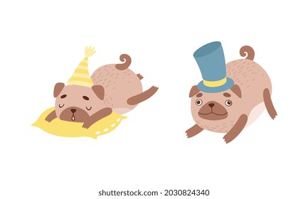 Funny Pug Dog with Curled Tail and Light Brown Coat Sleeping on Pillow and Wearing Top Hat Vector Set