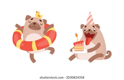 Funny Pug Dog with Curled Tail and Light Brown Coat in Rubber Ring and Eating Birthday Cake Vector Set