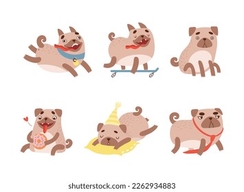 Funny Pug Dog with Curled Tail and Light Brown Coat Engaged in Different Activity Vector Set