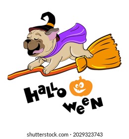 Funny pug dog flies on a witches broom. Halloween card. Vector illustration cartoon animals banner