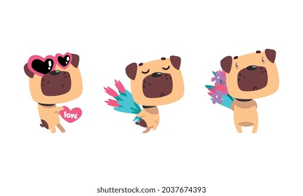 Funny Pug Dog with Flower Bouquet and Valentine Heart Vector Set