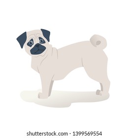 Funny pug dog isolated on a white background. Pug cartoon vector illustration. Cute dog with funny face