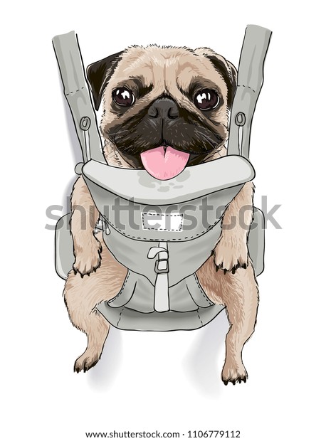 pug carrier