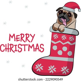Funny Pug dog with paws in Christmas stocking. Funny holiday greeting card with a cute dog head. New year postcard. Winter gift, pet in socks, cute X-mas design with a favorite pet in a hat.  