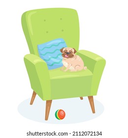 El gracioso perro de cerdo se sienta en un sillón. Al estilo de las caricaturas. Aislado sobre fondo blanco. Ilustración plana vectorial.