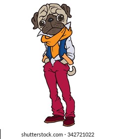 funny pug dressed like hipster - jeans, scarf and vest - vector cartoon drawing