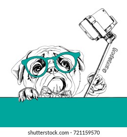 Funny pug in a green glasses with a selfish stick. Vector illustration.