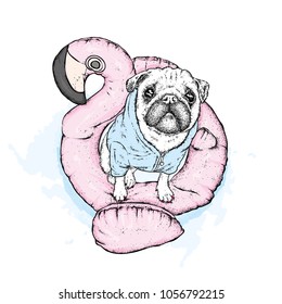 Funny pug on the inflatable circle in the form of a pink flamingo. A swimming circle and a thoroughbred dog.