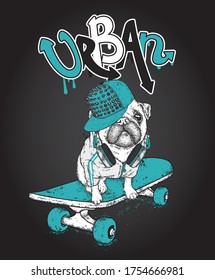Funny pug on a skateboard. Vector illustration. Pedigree dog. Puppy wearing a headphones.