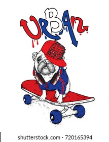 Funny pug on a skateboard. Vector illustration. Pedigree dog. Puppy wearing a cap and headphones.