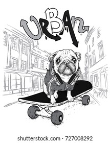 Funny pug on a skateboard. Vector illustration. Pedigree dog. Puppy wearing a headphones.