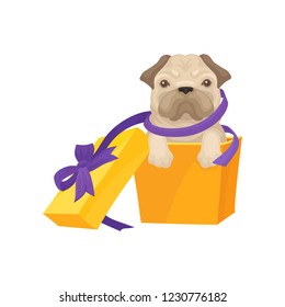 Funny pug puppy get out of bright orange gift box with purple bow. Christmas gift. Adorable dog. Flat vector icon
