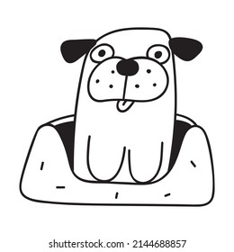 Funny pug sit in dog's bed. Vector outline icon illustration on white background.
