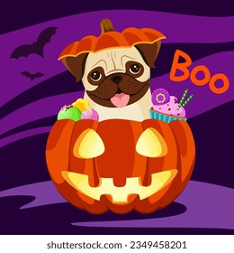 Funny pug is sitting in a pumpkin with sweets. Funny Halloween greeting card. Cartoon style.
