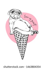 Gracioso Pug en un helado de copa de gofre en un fondo rosado. El amor es dulce - letra. Tarjeta de humor, composición en pantalones, impresión a mano. Ilustración vectorial.