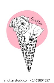 Funny Pug in a waffle cup ice cream on a pink background. Sweet love- lettering quote. Humor card, t-shirt composition, hand drawn style print. Vector illustration.