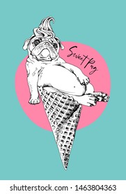 Funny Pug in a waffle cup ice cream on a green and pink background. Sweet pug - lettering quote. Humor card, t-shirt composition, hand drawn style print. Vector illustration.