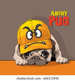 Funny Pug in a yellow cap with angry smiley. Vector illustration.