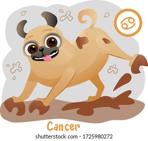 Funny pug Zodiac horoscope Cancer