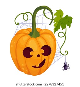 Funny pumpkin character with cobweb and spider.Halloween holiday decor.Vector graphics.