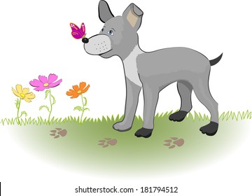 Funny puppy