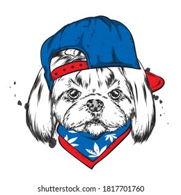 Funny puppy with cap, glasses. Purebred puppy. Vector illustration. Hipster dog.