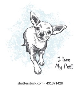 Funny puppy chihuahua. Contour cartoon vector illustration