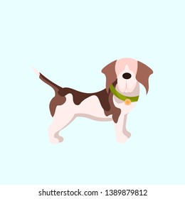 funny puppy cute little dog animal home pets concept flat