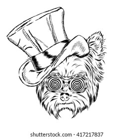 Funny puppy in a strange hat and sunglasses. Vector illustration. Yorkshire Terrier.