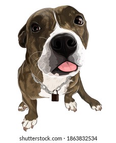 A funny puppy vector art of friendly pit bull dog